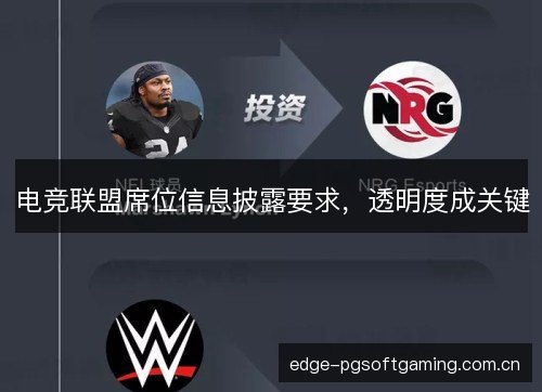 电竞联盟席位信息披露要求，透明度成关键