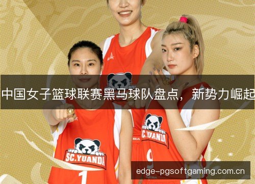 中国女子篮球联赛黑马球队盘点，新势力崛起